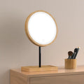 LED makeup mirror with light