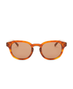 BILLE REVEAL Brown Transparent - Solbrille