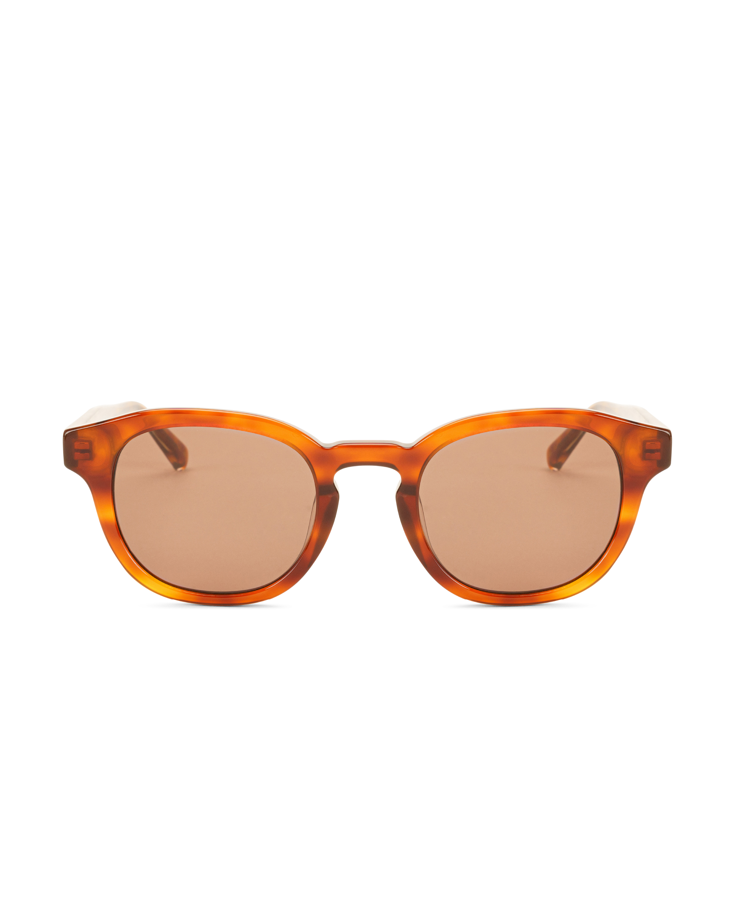 BILLE REVEAL Brown Transparent - Solbrille