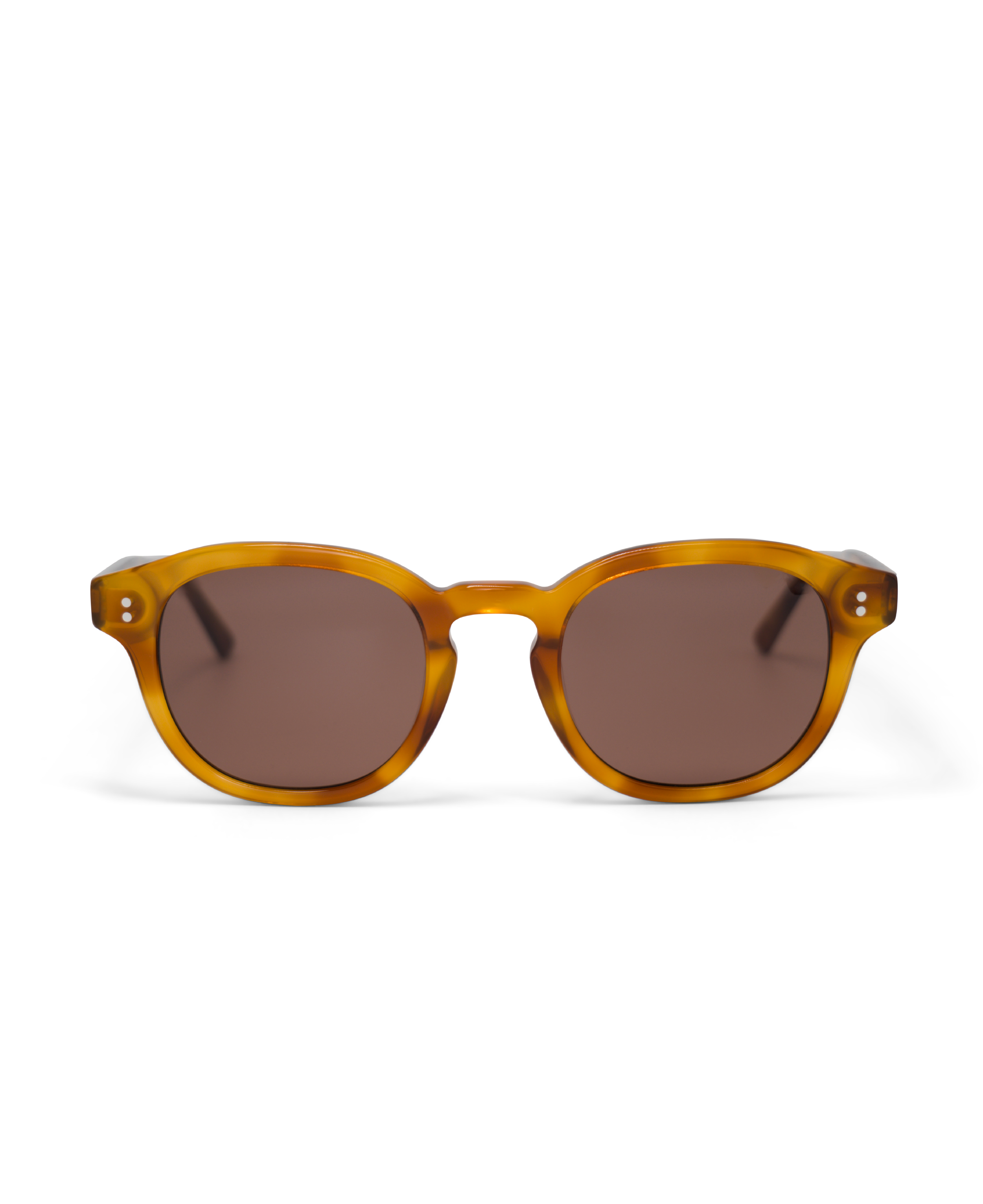 BILLE Brown Havana - Solbrille