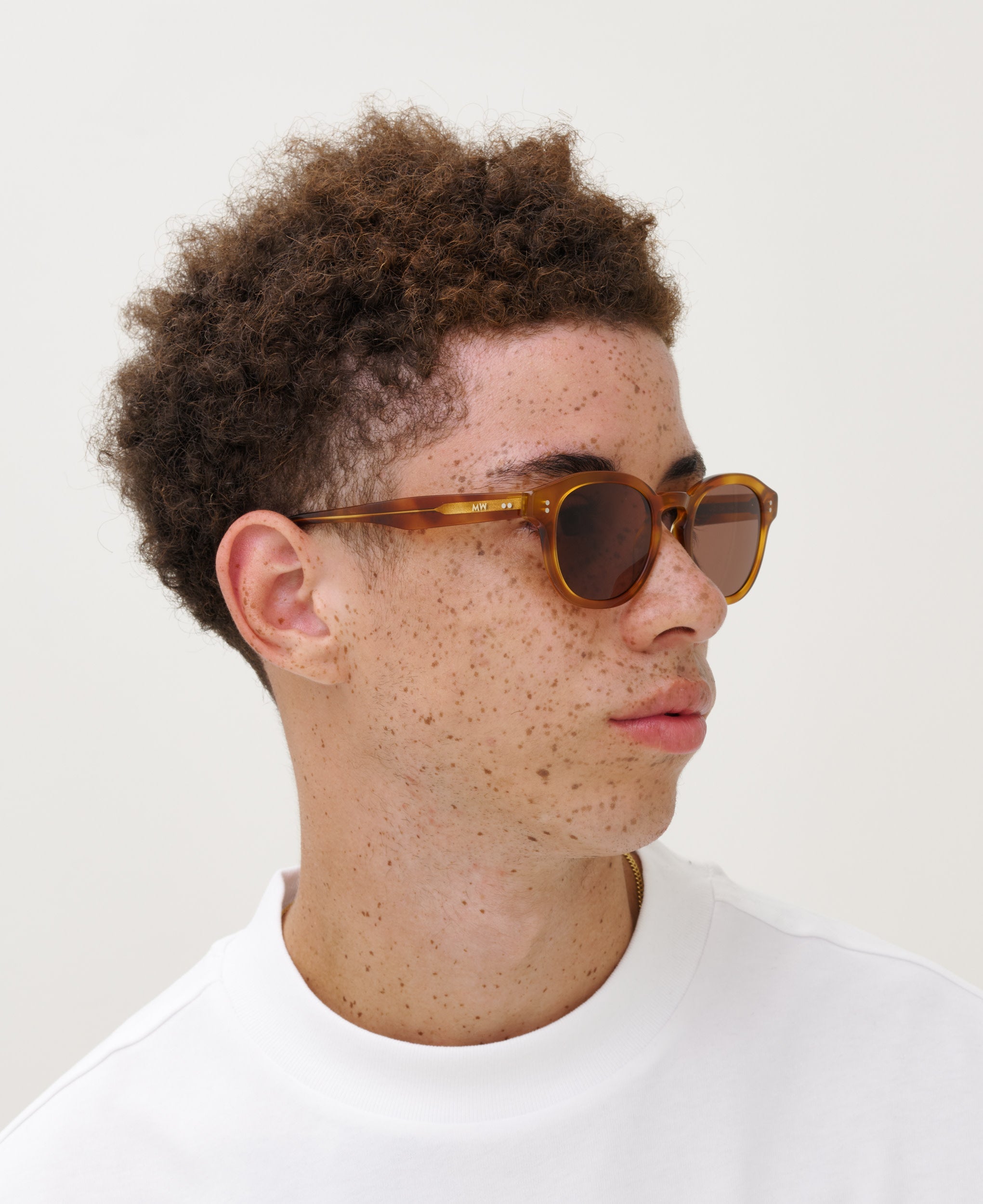 BILLE Brown Havana - Solbrille