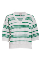 DSIgnia Striped Strik