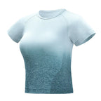 Seamless Gradient Crop Short Sleeve Gym T-shirt
