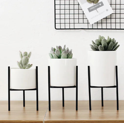 Nordic Style Ceramic and Iron Succulent Planter