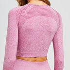 Seamless Sports Long Sleeve Yoga Set with Leggings - StilNord