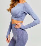 Seamless Sports Long Sleeve Yoga Set with Leggings - StilNord