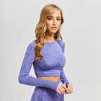 Seamless Sports Long Sleeve Yoga Set with Leggings - StilNord